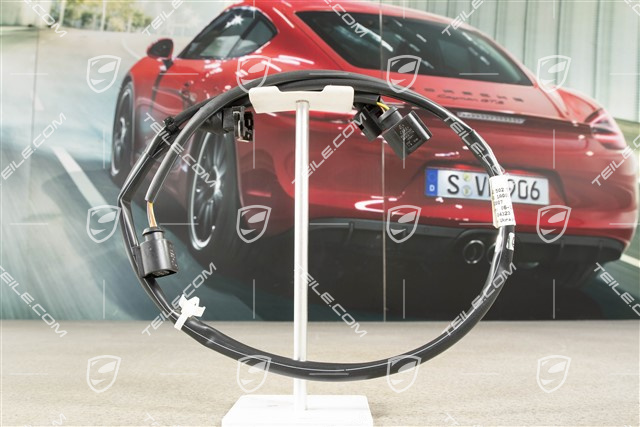 Wiring harness, lining front, L=R