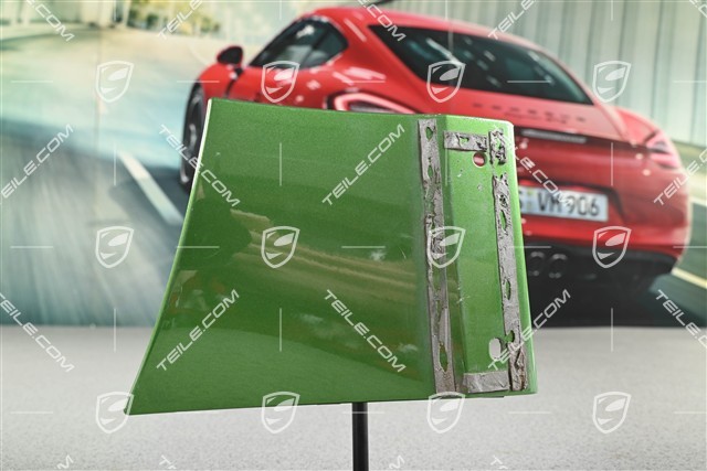 Front Wing / Fender cover / moulding, R