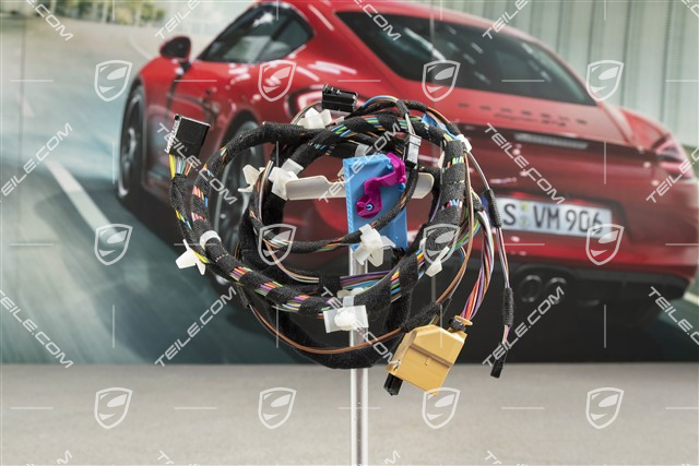 Wiązka elektryczna, Rama montażowa, drzwi kierowcy, Spyder, L