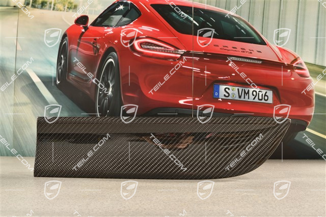 Blende, Tür, hinten, Carbon-Glänzend Schwarz, L