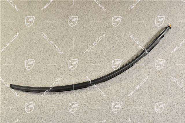 Windshield gasket, L