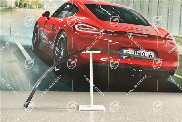 Targa, Roof frame seal, inside