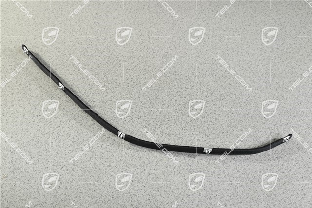 Türschachtdichtung / Abdichtleiste Aussen, Cabrio / Targa, L