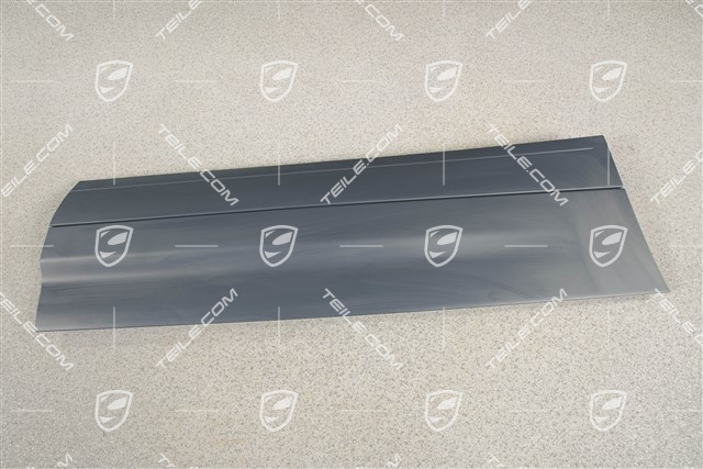 Strip, rear door, R