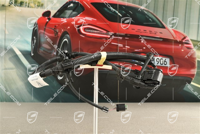 4 GTS / Turbo, Stossfänger vorne, Kabelstrang, PDC / Parkassistent / Einparkhilfe / Real Top View