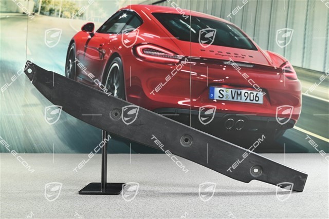 Abdeckung zwischen Kotflügel und Tür, GTS, L