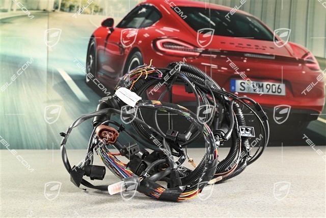 Wiring harness, Sub-part