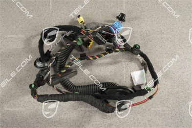 Wiązka instalacji elektrycznej drzwi pasażera, Bose, 2 piny, R