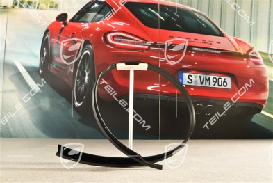 Targa, Abdichtleiste Tür, Aussen, L