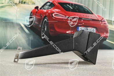 Haltegriff, schwarz, R