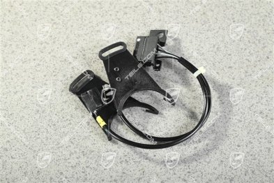 Microswitch / switch