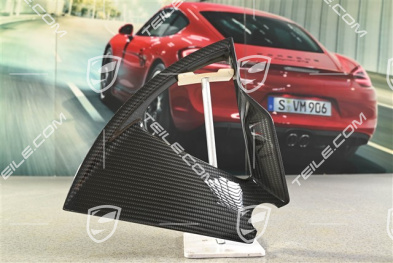 21 cali Taycan Exclusive Design blenda / kołpak carbon, tył, R