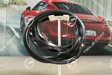 Seal for rear window