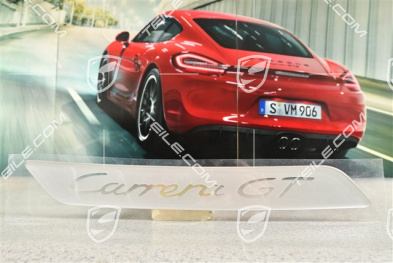 Einstiegleiste, Schriftzug Aufkleber CARRERA GT, L