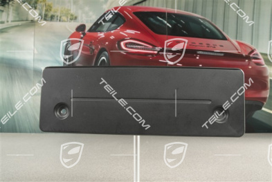 Front bumper number / Licence plate support, small