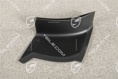 Rear light cover, outer, R
