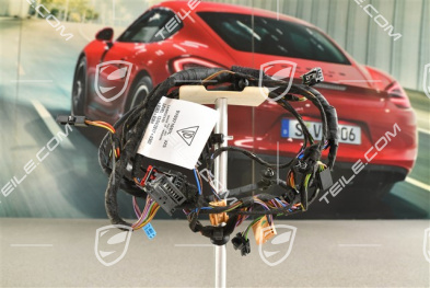 Kabelstrang Hintertür, soundpaket Burmester, L=R