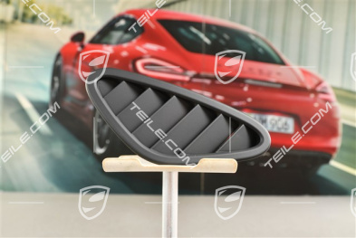 Cover, Defroster nozzle for windscreen, Black, R