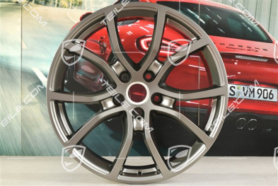 21-inch wheel rim, Exclusive Design, 9,5J x 21 ET46, Platinum satin-mat