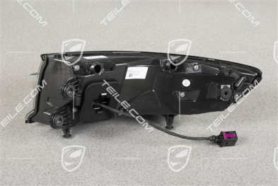 Rear / tail light, dark, L