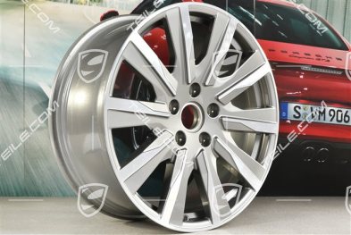 20" Felge Taycan Tequipment Design, 9J x 20 ET54, platinsilber