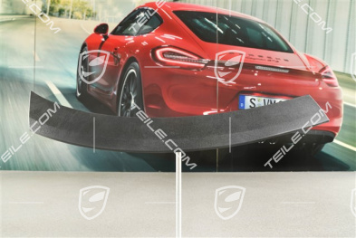 Wide Wheel Arch, Front Wing / Fender moulding, Satin Black, L
