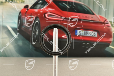 Sealing ring / oil seal