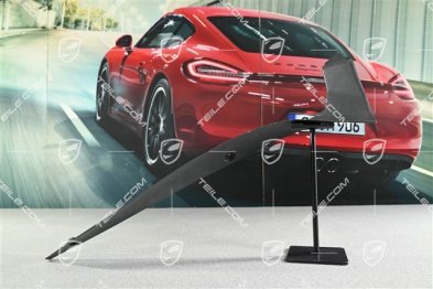 Blenda tylna blotnika przedniego, GT2 RS / GT3 RS, R