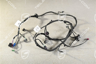 Wiring harness, bumper rear, ParkAssist / Antenna Signal Amplifier Booster