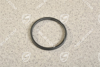 S / GTS / TURBO, O-Ring, Thermostateinsatz