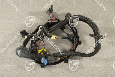 GT4, Wiązka instalancji elektrycznej drzwi pasażera, L
