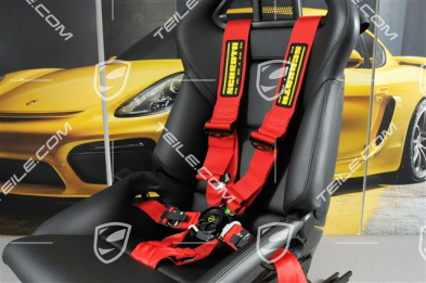Schroth Profi 3x2 - 6 point seatbelts