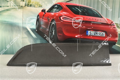 Blende, Tür, Hinten, Carbon, L