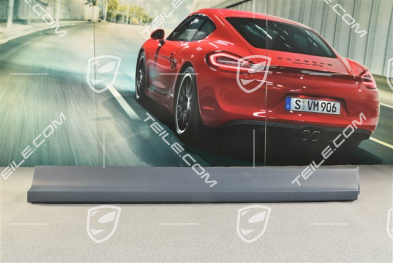 Leiste, Tür vorne, Turbo / GTS, R