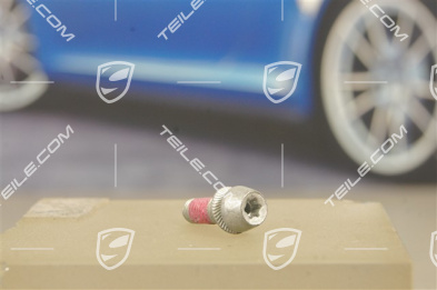 Fastening screw / RDK / TPM