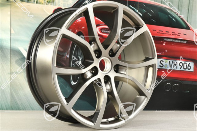 21-inch wheel rim, Exclusive Design, 9,5J x 21 ET46, Platinum satin-mat