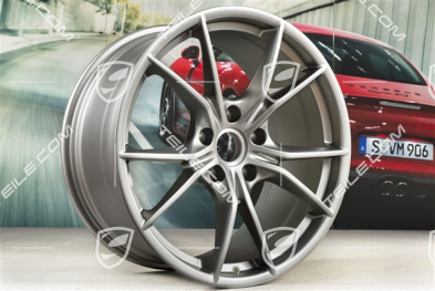 20" Felge Carrera S IV, 10J x 20 ET45, Platinum-Seidenmatt