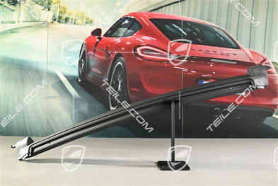 Profile strip for Targa roof
