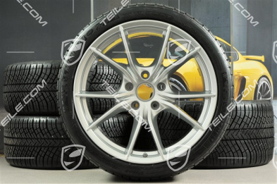 20" Winterräder Satz Carrera S (IV), gebrauchte Felgen 8,5J x 20 ET49 + 11J x 20 ET56 + NEUE Michelin Pilot Alpin PA4 N1 Winterreifen 245/35 R20 + 295/30 R20