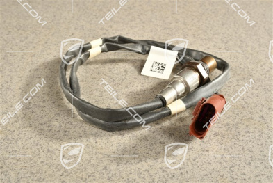 4,2L TDI, Lambdasonde DPF, Braun