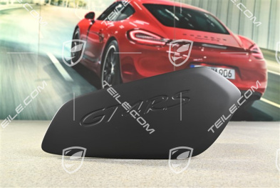 GT4 RS, Flügelplatte / Abdeckung für Heckspoiler, Flügel, L