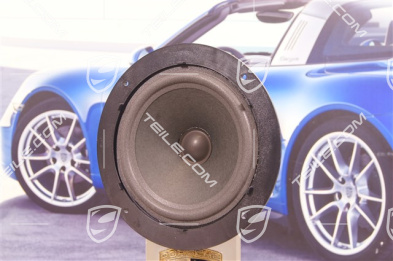 Door card audio speaker / woofer