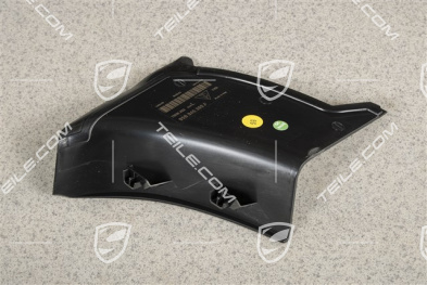 Rear light cover, outer, R