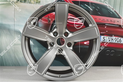 20" Felgensatz Carrera Sport, 8,5J x 20 ET49 + 11,5J x 20 ET56, Platinum Seidenmatt