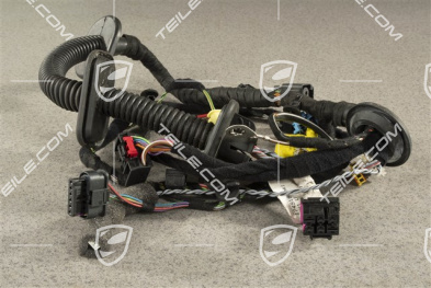 GT4, Wiązka instalancji elektrycznej drzwi pasażera, L