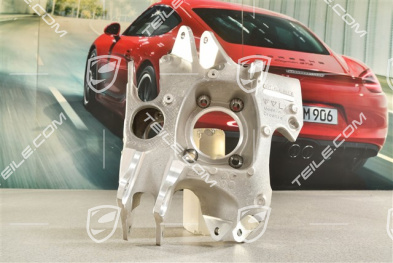 GT3, Wheel carrier, rear axle, L