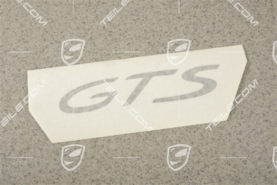 Dekorfolie seitlich mit Schriftzug GTS, Schwarz