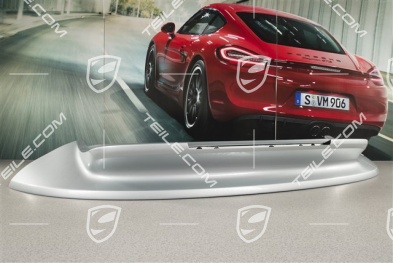 Rear spoiler, bottom half, Coupe