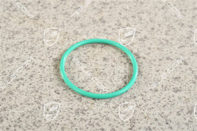 O-ring Hochdruckpumpe