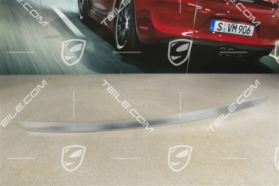 Zierleiste für Heckklappe, Aluminium Paket, Platinsilber metallic